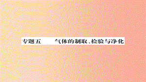 2019年中考化學總復習 第二輪 專題訓練 提升能力 專題五 氣體的制取檢驗與凈化練習課件.ppt