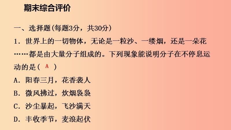 2019年九年级物理全册 期末综合评价课件 新人教版.ppt_第2页