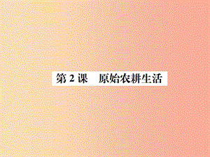 2019年秋七年級歷史上冊 第一單元 史前時期：中國境內(nèi)人類的活動 第2課 原始農(nóng)耕生活課件 新人教版.ppt