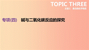 北京市2019年中考化學總復習 專項04 堿與二氧化碳反應的探究課件.ppt