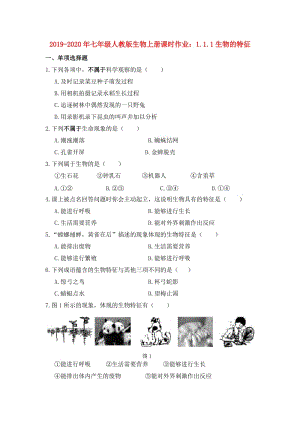 2019-2020年七年級人教版生物上冊課時作業(yè)：1.1.1生物的特征.doc