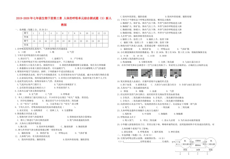 2019-2020年七年级生物下册第三章 人体的呼吸单元综合测试题（3）新人教版.doc_第1页