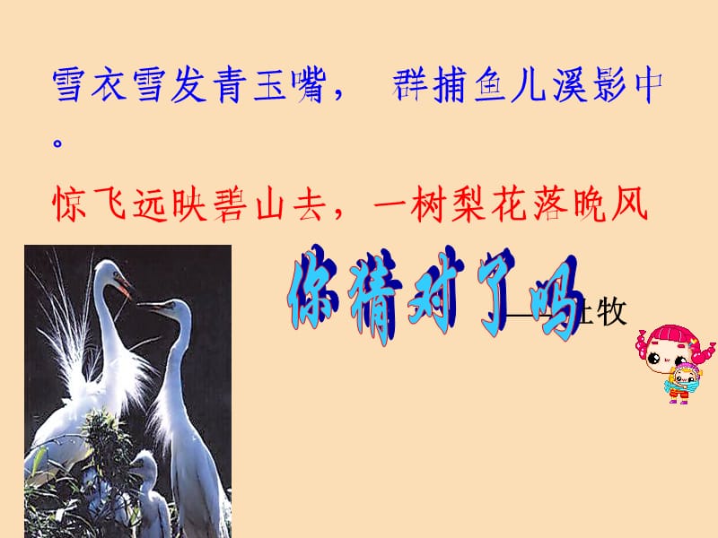 2019秋九年级语文上册第四单元第13课散文家谈散文关于散文白鹭课件2苏教版.ppt_第1页