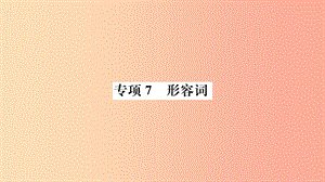 山東省2019年中考英語 第二部分 專項語法 高效突破 專項7 形容詞課件.ppt