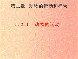 內(nèi)蒙古八年級生物上冊 5.2.1動物的運動課件 新人教版.ppt