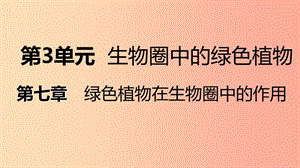 2019年七年級生物上冊 第三單元 第七章 第二節(jié) 綠色植物與生物圈的物質(zhì)循環(huán)課件（新版）蘇教版.ppt