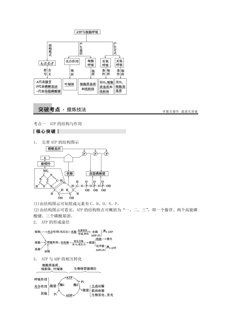 2019-2020年高考生物大一轮复习 第三单元 第10讲 细胞的能量“通货” ATP ATP的主要来源 细胞呼吸教案.doc_第3页