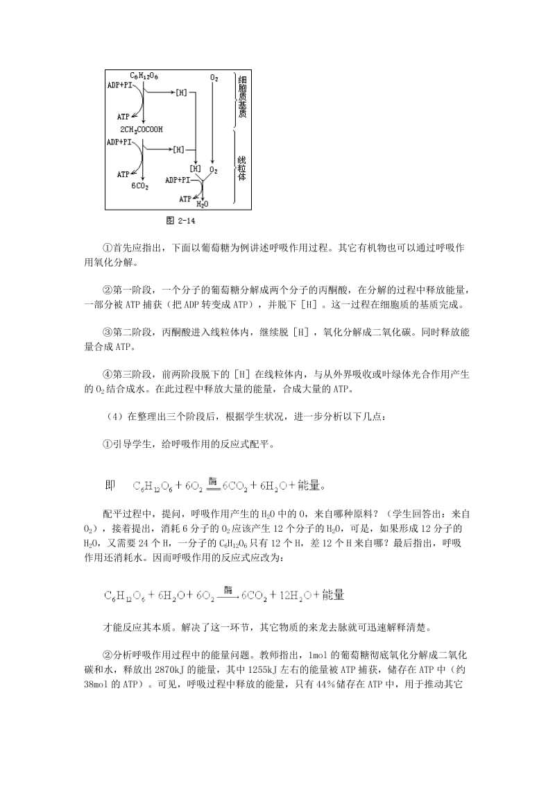 2019-2020年高二生物绿色植物的呼吸作用 新课标 人教版.doc_第3页