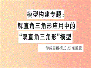 九年級數(shù)學下冊 模型構(gòu)建專題 解直角三角形應(yīng)用中的“雙直角三角形”模型習題講評課件 北師大版.ppt