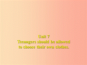 九年級英語全冊 Unit 7 Teenagers should be allowed to choose their own clothes Section A1 新人教版.ppt