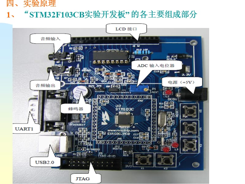 实验一：Keil集成开发环境的使用.ppt_第2页