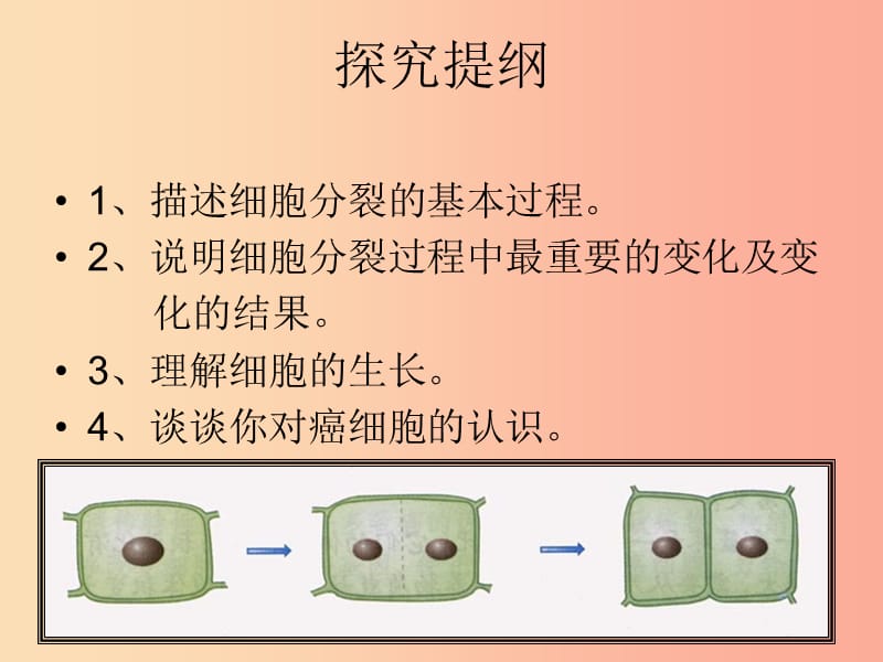 安徽省七年级生物上册 2.2.1《细胞通过分裂产生新细胞》课件2 新人教版.ppt_第3页