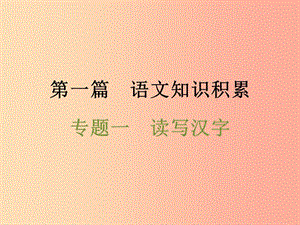 浙江省2019中考語文 第一篇 語文知識積累 專題一 讀寫漢字復(fù)習(xí)課件.ppt