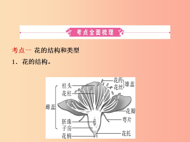 济宁专版2019年中考生物第四单元第一章复习课件.ppt_第2页