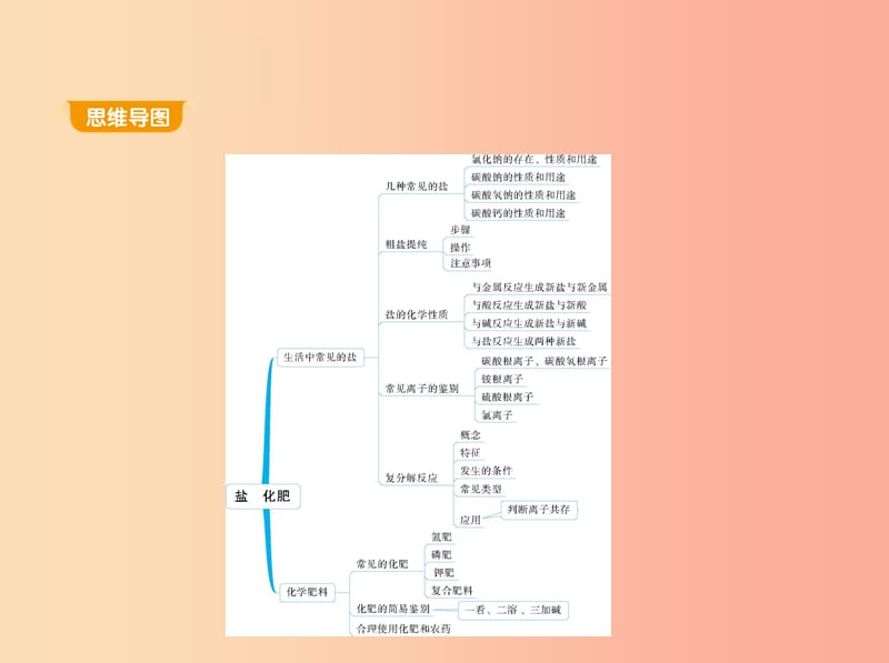 2019年九年级化学下册 第十一单元 盐 化肥 课题1 生活中常见的盐课件 新人教版.ppt_第1页