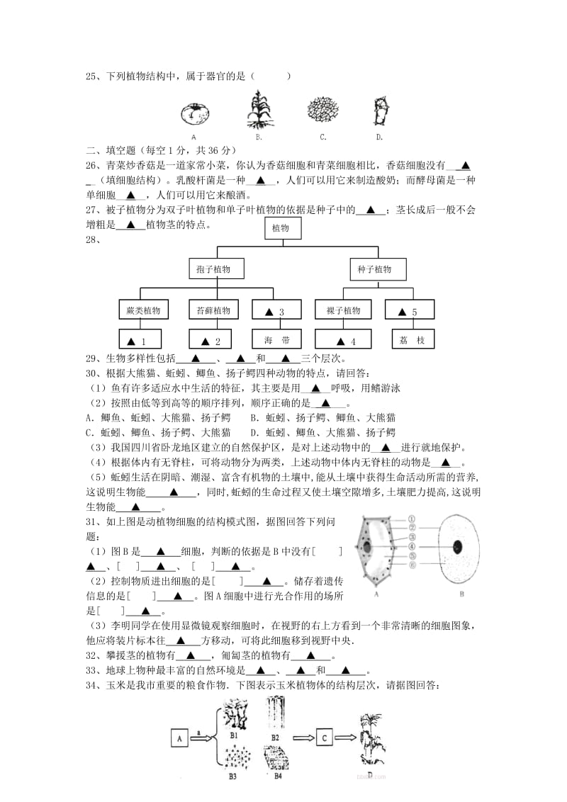 2019-2020年七年级科学上学期期中测试试卷 浙教版.doc_第3页