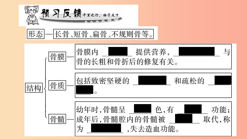 广西省玉林市2019年八年级生物上册第五单元第15章第2节动物运动的形成第1课时课件（新版）北师大版.ppt_第3页