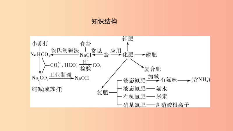 河南省2019年中考化学复习 第8讲 盐 化肥课件.ppt_第3页