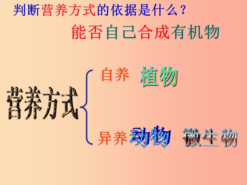 八年级生物上册5.4.2细菌课件5 新人教版.ppt_第3页