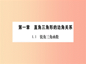 九年級數(shù)學下冊 第1章 直角三角形的邊角關系 1.1《銳角三角函數(shù)》課堂導練課件（含2019中考真題）北師大版.ppt