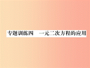 2019年秋九年級數(shù)學(xué)上冊 第2章 一元二次方程 專題訓(xùn)練四 一元二次方程的應(yīng)用作業(yè)課件（新版）湘教版.ppt