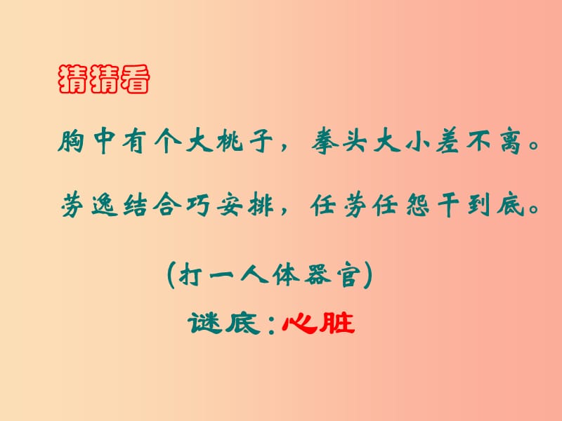 安徽省七年级生物下册 4.4.3 输送血液的泵 心脏课件1 新人教版.ppt_第2页