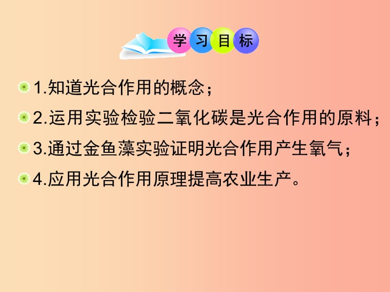 广东省汕头市七年级生物上册 3.5.1光合作用吸收二氧化碳释放氧气课件 新人教版.ppt_第2页