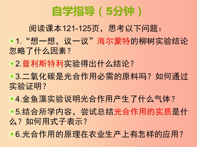 广东省汕头市七年级生物上册 3.5.1光合作用吸收二氧化碳释放氧气课件 新人教版.ppt_第3页