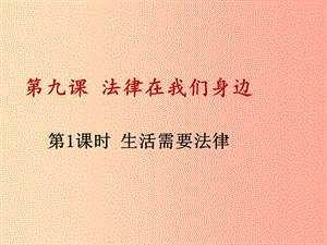 廣東省七年級道德與法治下冊 第四單元 走進(jìn)法治天地 第九課 法律在我們身邊 第1框 生活需要法律 新人教版.ppt