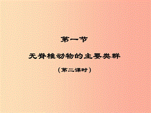 七年級生物上冊 2.2.1《無脊椎動物的主要類群》第二課時課件 （新版）濟南版.ppt