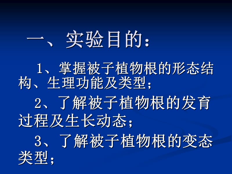 实验5被子植物各器官的形态结构.ppt_第2页