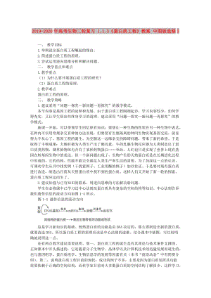 2019-2020年高考生物二輪復(fù)習(xí) 1.1.3《蛋白質(zhì)工程》教案 中圖版選修3.doc