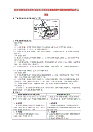 2019-2020年高二生物 實驗二 用高倍顯微鏡觀察葉綠體和細胞質(zhì)流動 人教版.doc