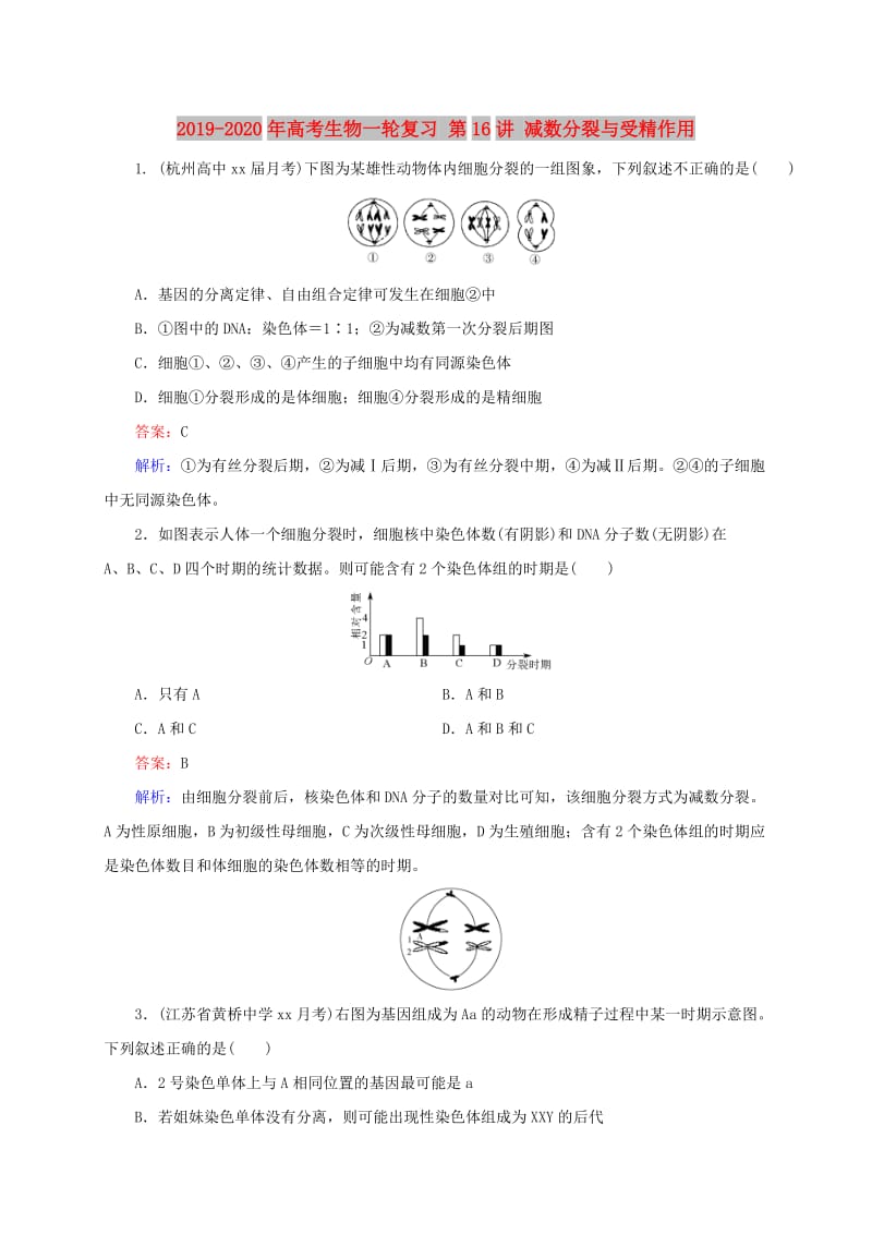 2019-2020年高考生物一轮复习 第16讲 减数分裂与受精作用.doc_第1页