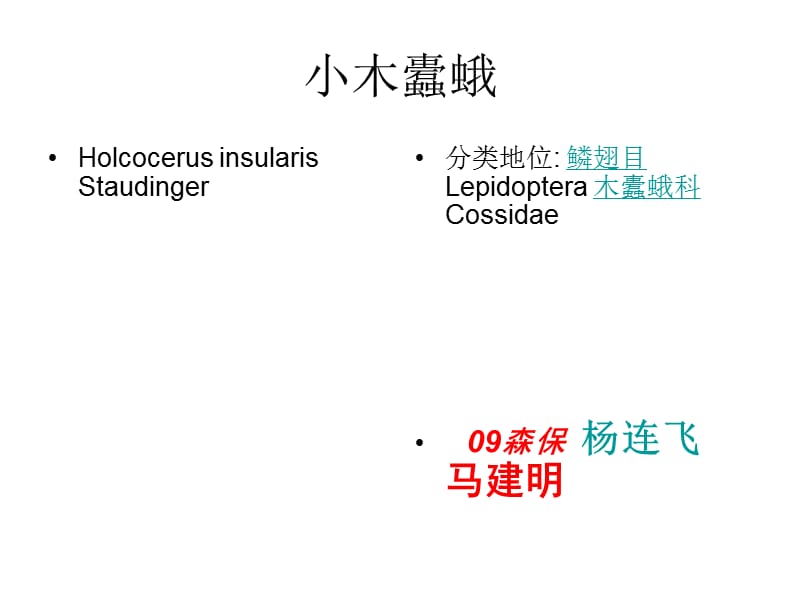 小木蠹蛾(杨连飞马建明).ppt_第1页