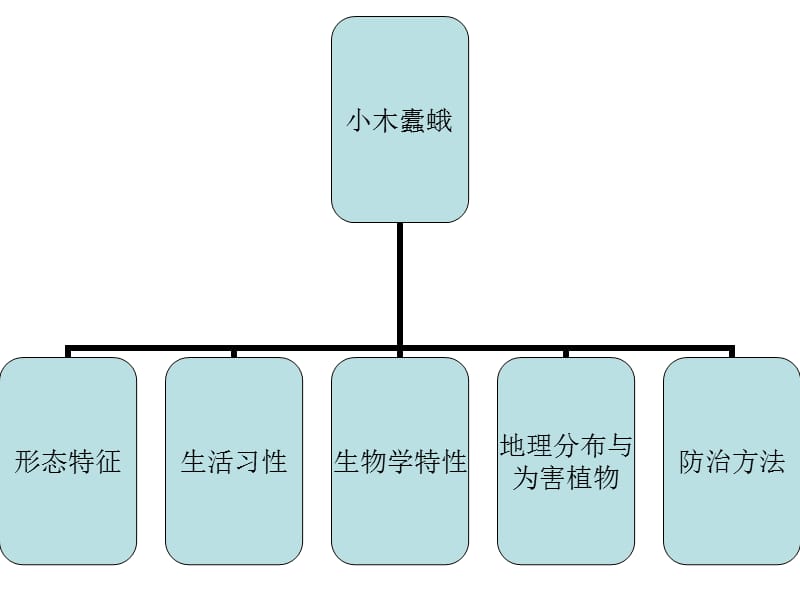 小木蠹蛾(杨连飞马建明).ppt_第2页