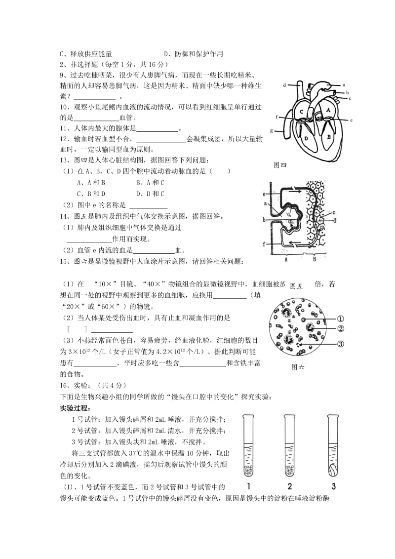 2019-2020年九年级上学期期中考试生物试卷(II).doc_第2页