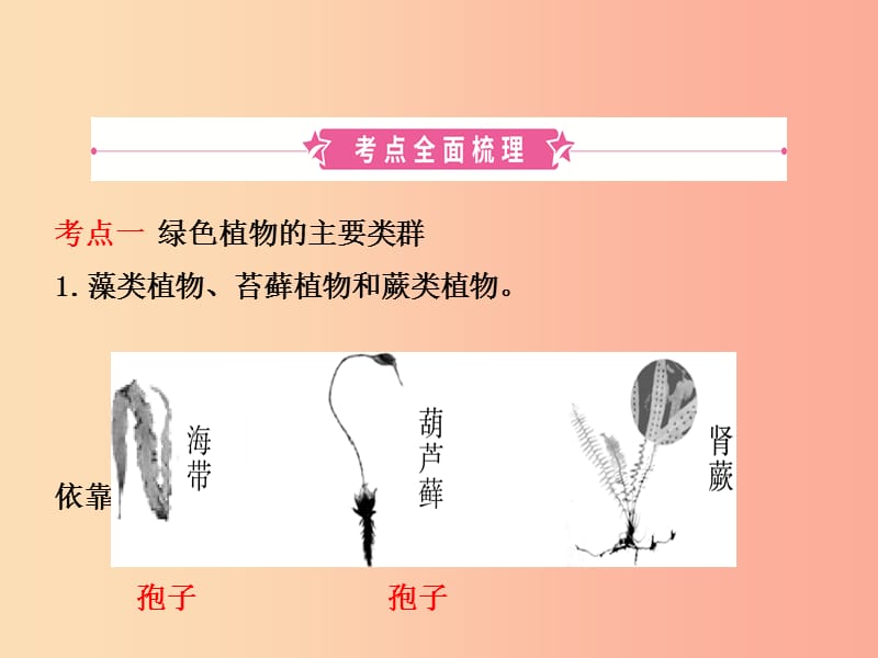 济宁专版2019年中考生物第二单元第一章复习课件.ppt_第2页