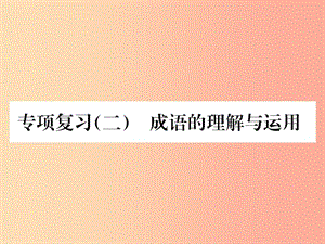 2019年九年級語文上冊 專項(xiàng)復(fù)習(xí)二 詞語的理解與運(yùn)用習(xí)題課件 新人教版.ppt