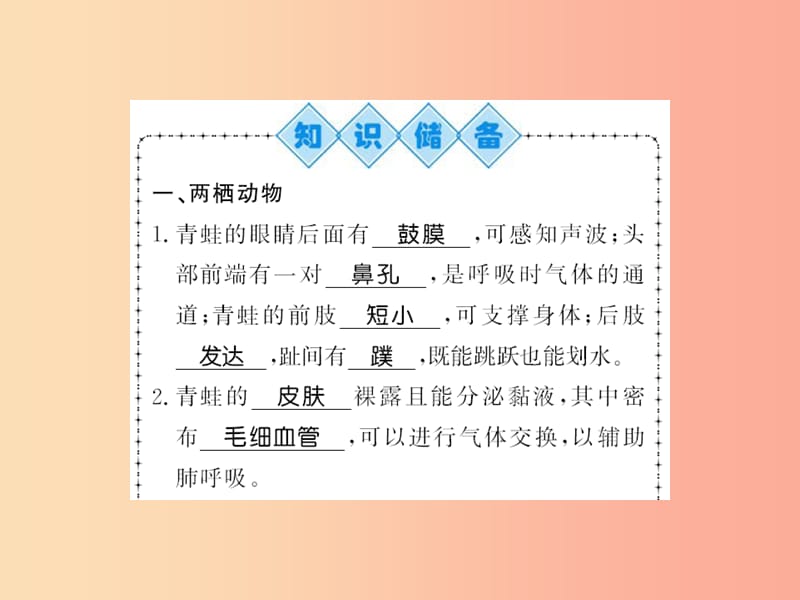 2019年八年级生物上册 第五单元 第1章 第5节 两栖动物和爬行动物习题课件 新人教版.ppt_第2页