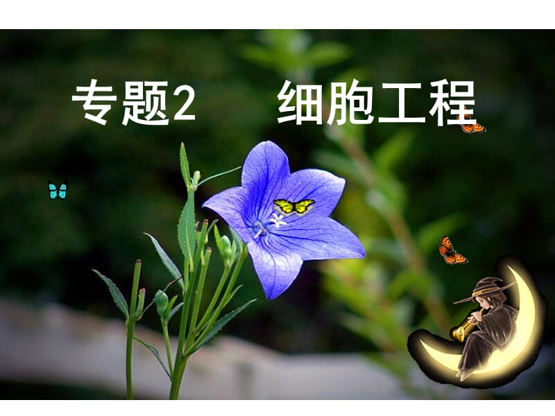 《植物细胞工程》课件.ppt_第1页