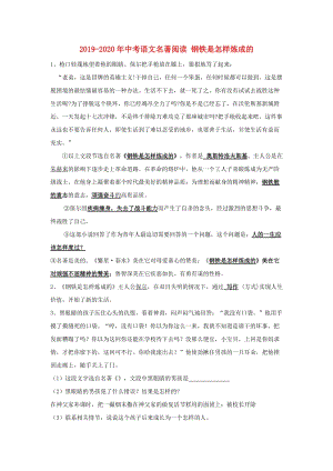 2019-2020年中考語文名著閱讀 鋼鐵是怎樣煉成的.doc