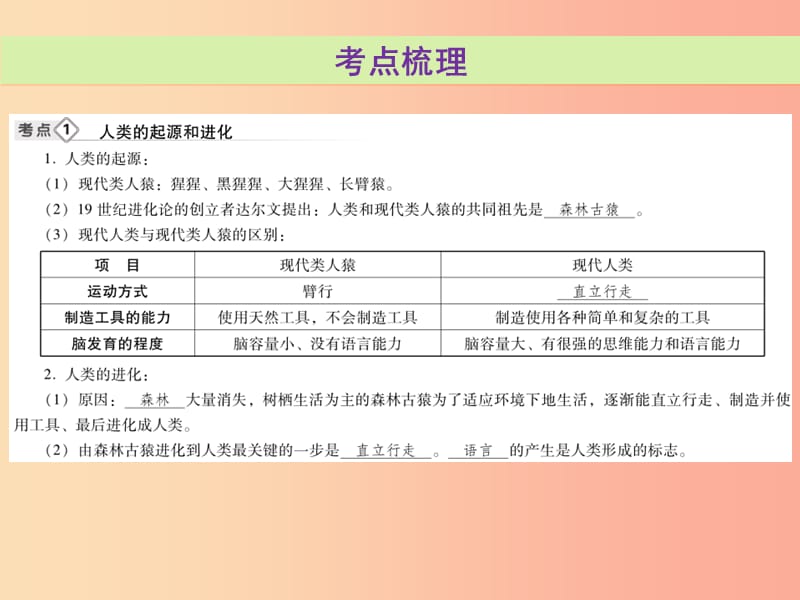 2019年中考生物总复习 第四单元 第一章 人的由来课件.ppt_第3页