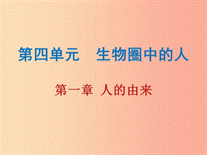 2019年中考生物總復(fù)習(xí) 第四單元 第一章 人的由來(lái)課件.ppt