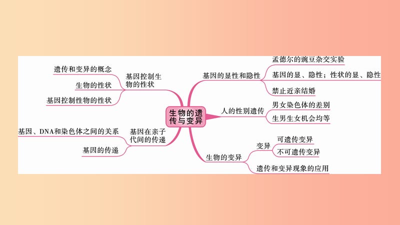 2019中考生物总复习 第一部分 基础考点巩固 第七单元 生物圈中生命的延续和发展 第二章 生物的遗传与变异.ppt_第2页