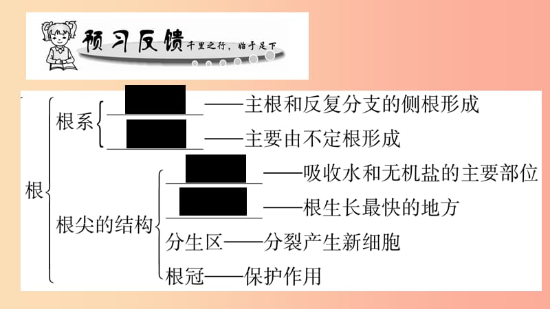 2019年七年级生物上册第3单元第6章第2节营养器官的生长习题课件（新版）北师大版.ppt_第2页