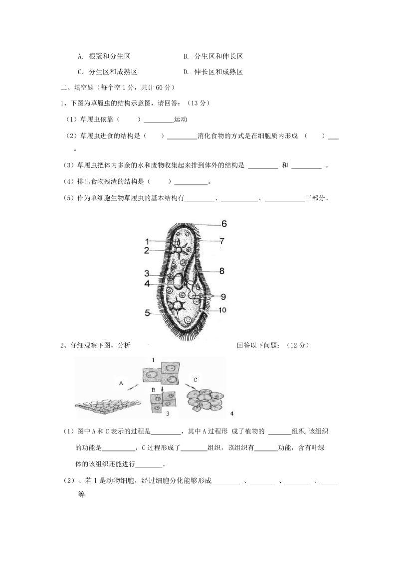 2019-2020年七年级上学期期末考试生物试题(IV).doc_第3页