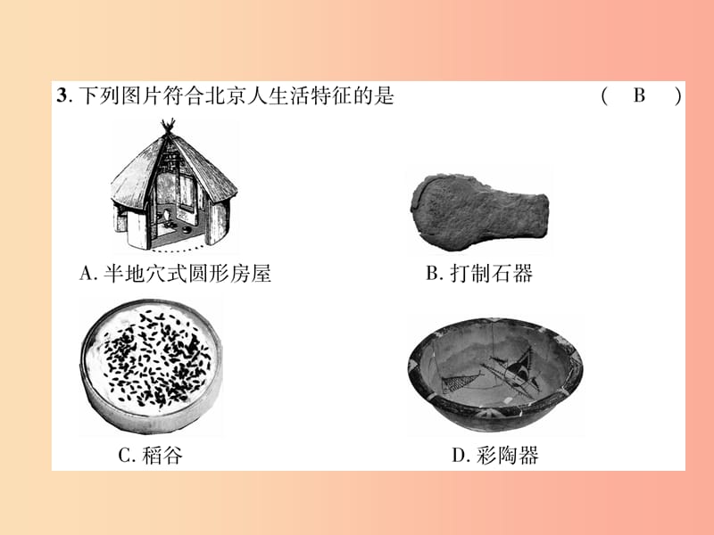 2019七年级历史上册 第1单元 史前时期：中国境内人类的活动达标测试卷课件 新人教版.ppt_第3页