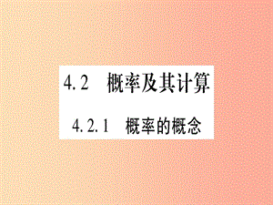 九年級數(shù)學(xué)下冊 第4章 概率 4.2 概率及其計(jì)算 4.2.1 概率的概念作業(yè)課件 （新版）湘教版.ppt