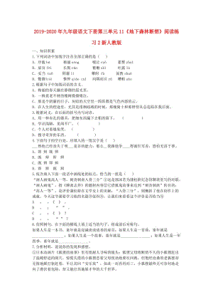 2019-2020年九年級(jí)語(yǔ)文下冊(cè)第三單元11《地下森林?jǐn)嘞搿烽喿x練習(xí)2新人教版.doc